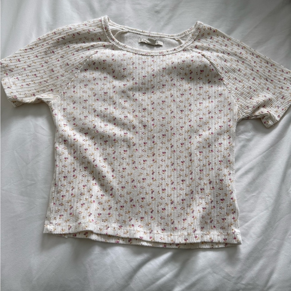 American Eagle Outfitters Floral Crop Top - White and Pink